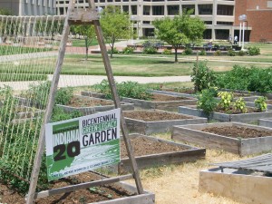 IUPUI-urban-garden-by-jennifer-troemner-300x225